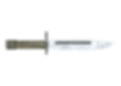 Bayonet | Damascus Steel skin image