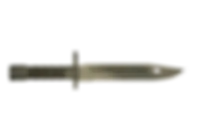 Bayonet | Safari Mesh skin image