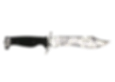 Bowie Knife | Stained skin image