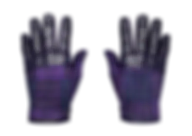 Driver Gloves | Imperial Plaid skin image
