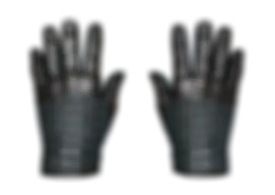 Driver Gloves | Lunar Weave skin image