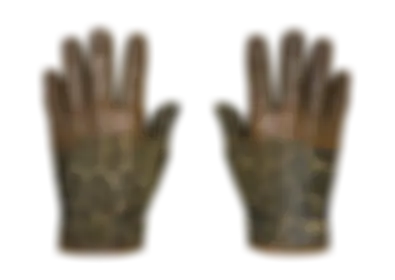 Driver Gloves | Queen Jaguar skin image