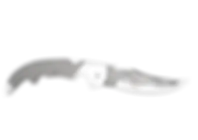 Falchion Knife | Scorched skin image