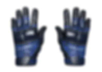 Moto Gloves | Polygon skin image