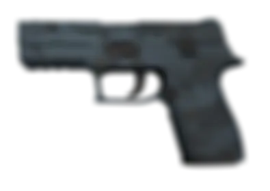 P250 | Forest Night skin image