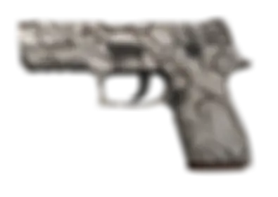 P250 | Gunsmoke skin image