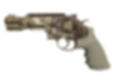 R8 Revolver | Desert Brush skin image