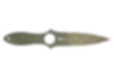 Skeleton Knife | Safari Mesh skin image