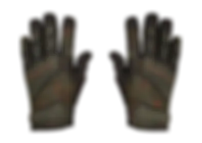 Specialist Gloves | Buckshot skin image