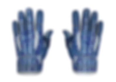 Sport Gloves | Amphibious skin image