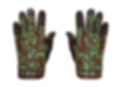 Sport Gloves | Bronze Morph skin image