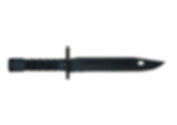 ★ Bayonet | Night (Well-Worn) float preview 6 %