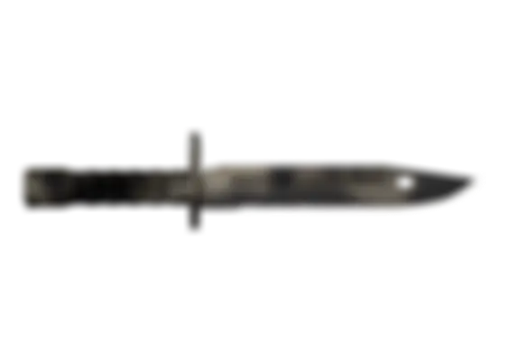 ★ Bayonet | Scorched (Well-Worn) float preview 6 %
