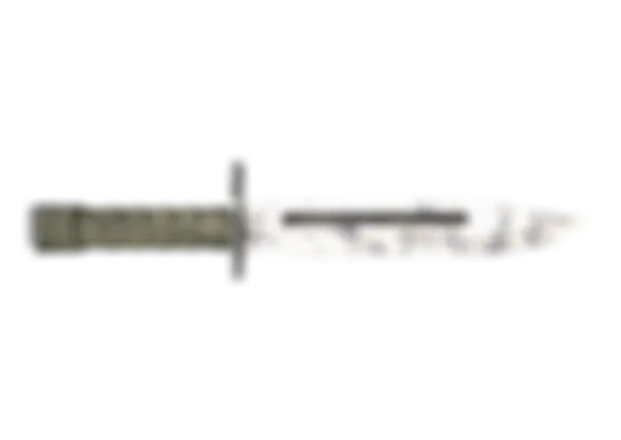 ★ Bayonet | Stained (Well-Worn) float preview 0 %