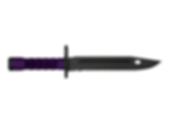 ★ Bayonet | Ultraviolet (Well-Worn) float preview 6 %