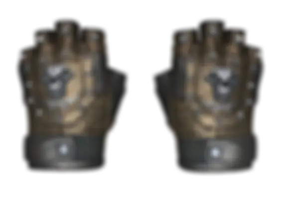 ★ Bloodhound Gloves | Bronzed (Well-Worn) float preview 6 %