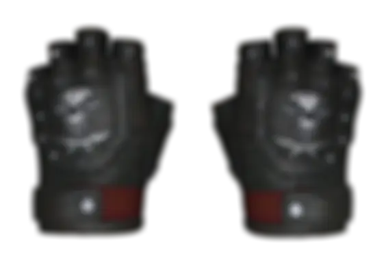 ★ Bloodhound Gloves | Charred (Well-Worn) float preview 6 %