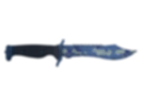 ★ Bowie Knife | Bright Water (Well-Worn) float preview 0 %