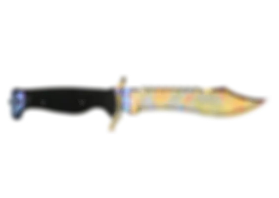 ★ Bowie Knife | Case Hardened (Well-Worn) float preview 0 %
