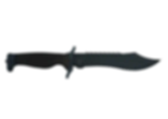★ Bowie Knife | Night (Well-Worn) float preview 6 %