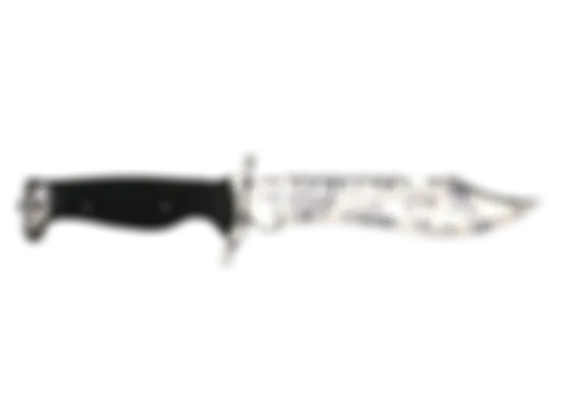 ★ Bowie Knife | Stained (Well-Worn) float preview 0 %