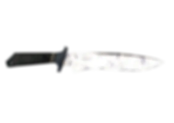 ★ StatTrak™ Classic Knife | Stained (Well-Worn) float preview 0 %