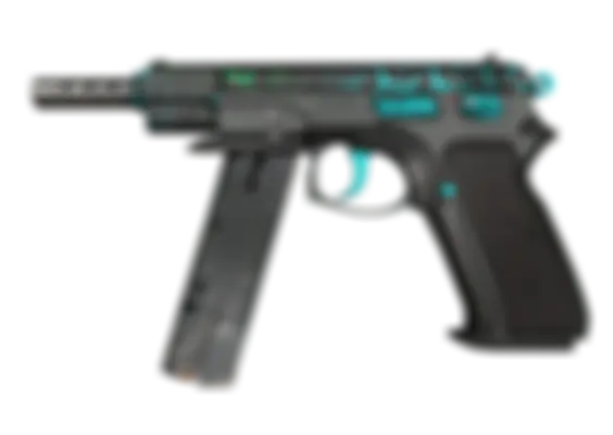 CZ75-Auto | Polymer (Well-Worn) float preview 0 %