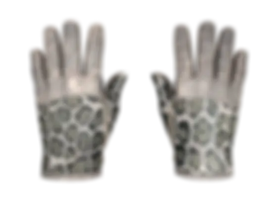 ★ Driver Gloves | Snow Leopard (Well-Worn) float preview 6 %