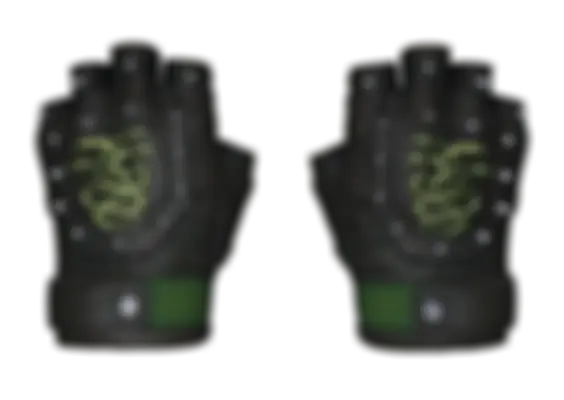 ★ Hydra Gloves | Emerald (Well-Worn) float preview 6 %