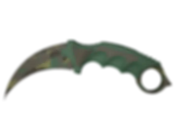 ★ Karambit | Boreal Forest (Well-Worn) float preview 6 %