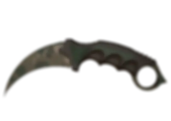 ★ Karambit | Forest DDPAT (Well-Worn) float preview 6 %