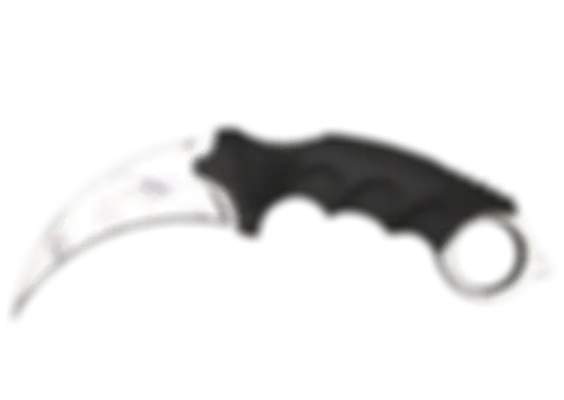 ★ Karambit | Stained (Well-Worn) float preview 0 %