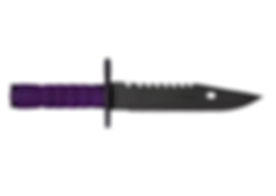 ★ M9 Bayonet | Ultraviolet (Well-Worn) float preview 6 %