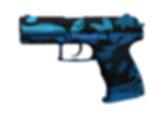 P2000 | Oceanic (Well-Worn) float preview 0 %
