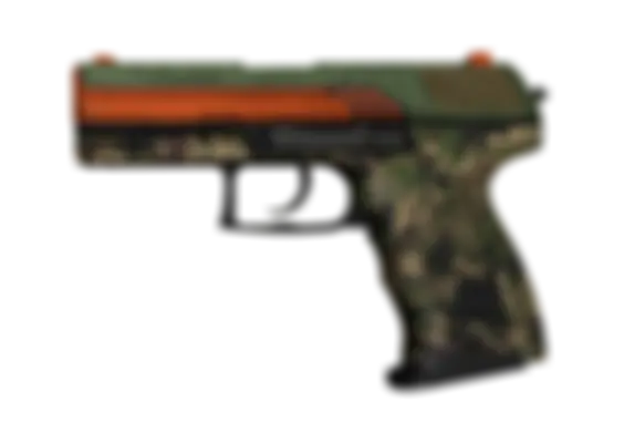 P2000 | Woodsman (Well-Worn) float preview 0 %