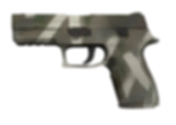 P250 | Bone Mask (Well-Worn) float preview 6 %