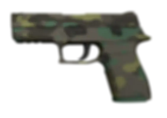 P250 | Boreal Forest (Well-Worn) float preview 6 %