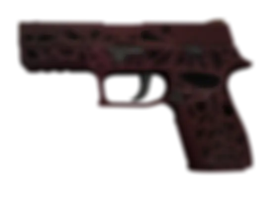 P250 | Contaminant (Well-Worn) float preview 0 %