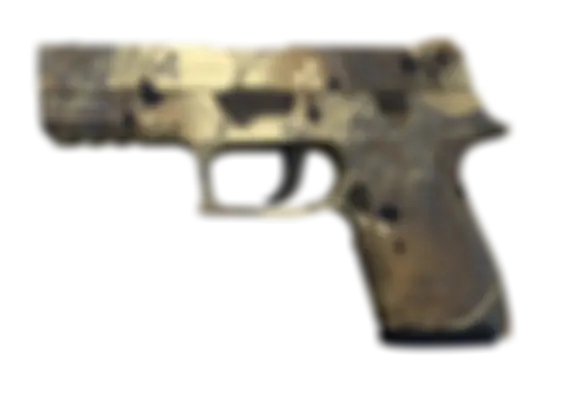P250 | Contamination (Well-Worn) float preview 0 %