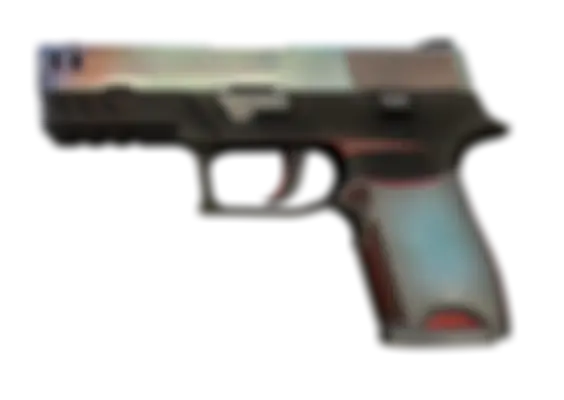 P250 | Cyber Shell (Well-Worn) float preview 0 %