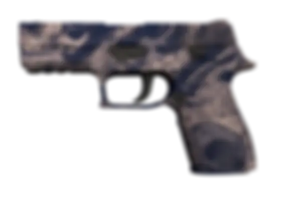 P250 | Drought (Well-Worn) float preview 0 %