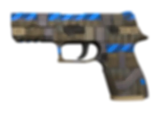 P250 | Exchanger (Well-Worn) float preview 0 %