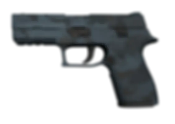 P250 | Forest Night (Well-Worn) float preview 6 %