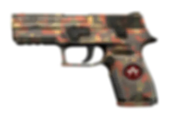 P250 | Red Rock (Well-Worn) float preview 0 %