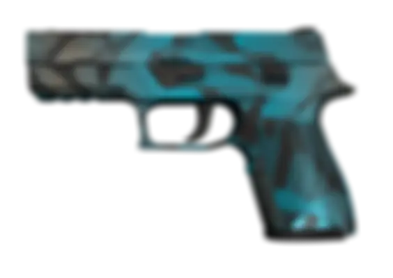 P250 | Ripple (Well-Worn) float preview 0 %