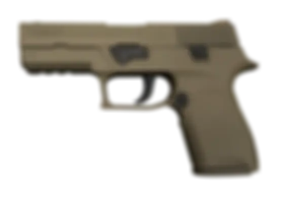 P250 | Sand Dune (Well-Worn) float preview 6 %
