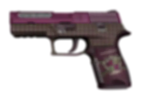 P250 | Vino Primo (Well-Worn) float preview 0 %