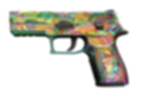 P250 | Visions (Well-Worn) float preview 0 %