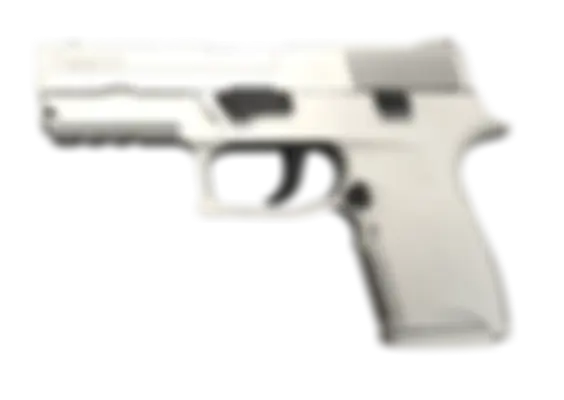 P250 | Whiteout (Well-Worn) float preview 6 %