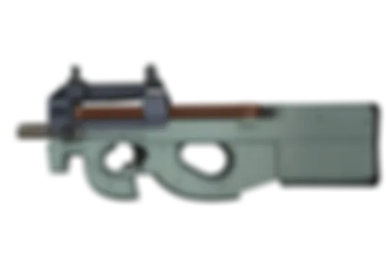 P90 | Storm (Well-Worn) float preview 6 %
